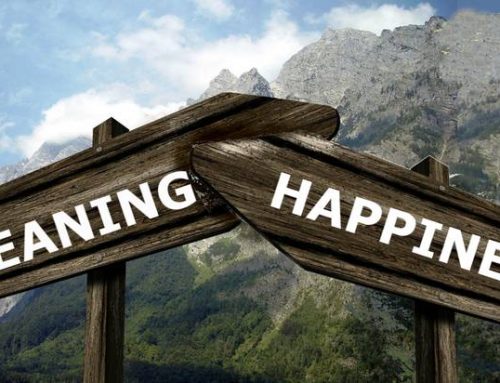 Happiness vs. Living a Life With Meaning